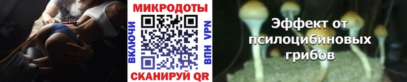 кракен зеркало  Невьянск  Галлюциногенные грибы мицелий  как найти наркотики 